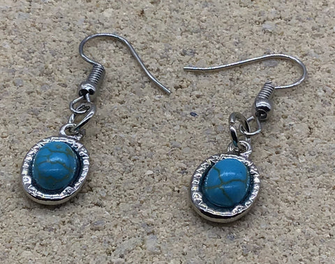 Turquoise Surround Earrings